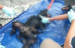 Kebakaran di SPBU Sagulung Batam, Satu Anak Tewas Mobil Terbakar di Batam