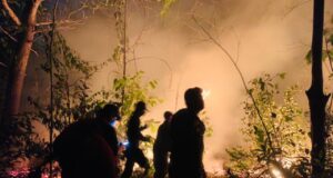 Ditpam Aset BP Batam Gelar Program One Day One Target Ditpam BP Batam