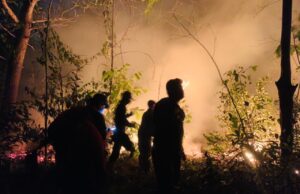 Ditpam Aset BP Batam Gelar Program One Day One Target Ditpam BP Batam