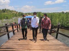 Jembatan Raja Mas Diresmikan, Hubungkan 2 Pulau di Galang Jembatan Raja Mas Diresmikan