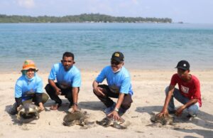 Konservasi Penyu Pulau Karas