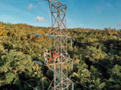 Lebih Cepat dari Target, PLN Berhasil Membangun Tower Emergency di Pulau Timor NTT PLN