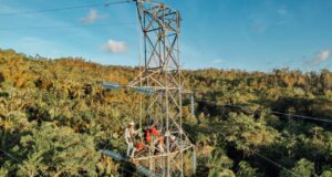 Lebih Cepat dari Target, PLN Berhasil Membangun Tower Emergency di Pulau Timor NTT PLN