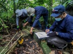 Belanda Pernah Menduduki Pulau Boyan di Bulang, Ini Jejak Peninggalannya Belanda Menduduki Pulau Boyan