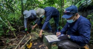 Belanda Pernah Menduduki Pulau Boyan di Bulang, Ini Jejak Peninggalannya Belanda Menduduki Pulau Boyan