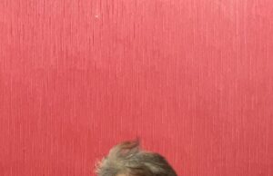 Sebar Berita Hoax tentang Jokowi, Pria di Tanjungpinang Ditangkap Berita Hoax Jokowi