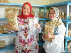 Kunjungan Wakil Gubernur Kepri ke Natuna