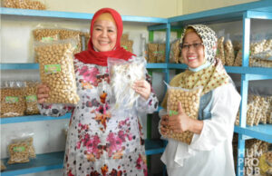 Kunjungan Wakil Gubernur Kepri ke Natuna