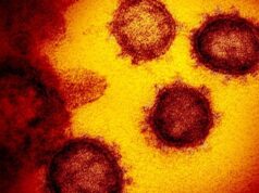 Penelitian Terbaru, Wabah Virus Corona Pernah Terjadi 25.000 Tahun Silam Wabah Virus Corona