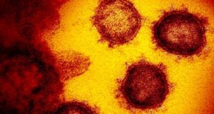 Penelitian Terbaru, Wabah Virus Corona Pernah Terjadi 25.000 Tahun Silam Wabah Virus Corona