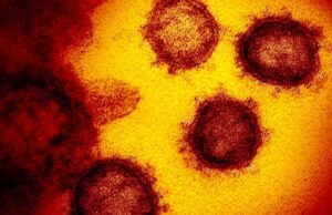 Penelitian Terbaru, Wabah Virus Corona Pernah Terjadi 25.000 Tahun Silam Wabah Virus Corona