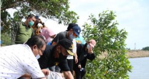 BP Batam Tebar Ribuan Ikan di Waduk Sei Ladi, Warga Boleh Memancing BP Batam Waduk Sei Ladi