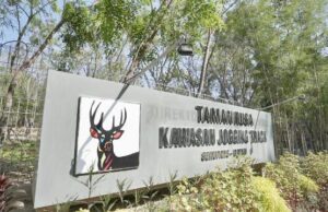 Makin Menarik, Taman Rusa Akan Dilengkapi Kolam Ikan Taman Rusa Dilengkapi Kolam