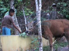 Kemenag Kepri Imbau Pemotongan Hewan Kurban Dilakukan di RPH Kemenag Kepri