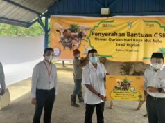 Maknai Idul Adha 1442 H, PLN Batam Serahkan Bantuan 52 Hewan Kurban kepada Masyarakat PLN Batam Idul Adha