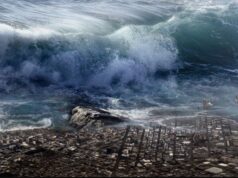 BMKG Ingatkan Potensi Gempa dan Tsunami 28 Meter di Jawa Gempa dan Tsunami Jatim