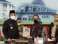 Angkat Ekonomi Kepri, Ansar Prioritas Bangun Infrastruktur Ekonomi Kepri