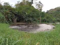 Akibat Tetap Buang Limbah ke Sungai, PT Greenfields Terancam Ditutup