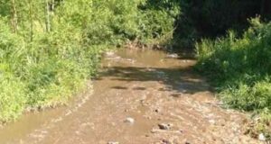 Bukan Kasus Perdata Biasa, Walhi Jatim Minta PN Blitar Tunjuk Hakim Bersertifikat LH