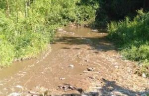 Bukan Kasus Perdata Biasa, Walhi Jatim Minta PN Blitar Tunjuk Hakim Bersertifikat LH