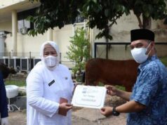 Idul Adha, BP Batam Berkurban 17 Sapi dan 35 Kambing BP Batam Berkurban