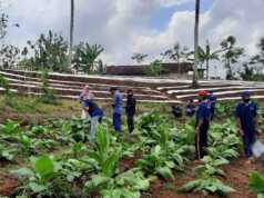 Anggaran Mamin Hampir 1 Miliar dan DBHCHT di Dinas Pertanian Kabupaten Blitar Disorot LSM DBHCHT Dinas Pertanian dan Pangan Kabupaten Blitar.