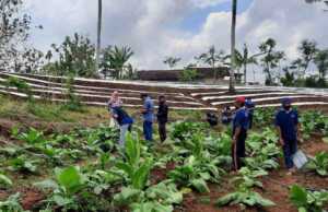Anggaran Mamin Hampir 1 Miliar dan DBHCHT di Dinas Pertanian Kabupaten Blitar Disorot LSM DBHCHT Dinas Pertanian dan Pangan Kabupaten Blitar.