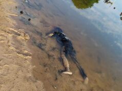 Sesosok Mayat Ditemukan di Dalam Rawa Bakau Sei Lekop Sagulung Batam Mayat di Sei Lekop Sagulung