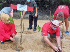 Expatriat Ikut Tanam Bakau di Ekowisata Pandang Tak Jemu Ekowisata Pandang Tak Jemu