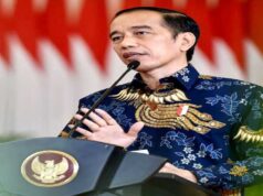 Apa Itu Ekonomi Hijau, Ini Kata Jokowi jokowi