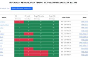 Makin Mudah, Cek Ketersediaan Bed Rumah Sakit Lewat Si Kamarrs
