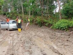 Ikuti Google Maps, Satu Keluarga Malah Nyasar ke Hutan Kalimantan Google Maps