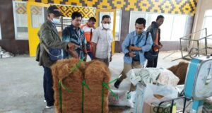 Sentra Kelapa di Lingga, Produksi Minyak Goreng hingga Cocofiber Sentra Kelapa di Lingga