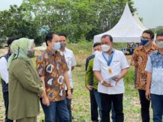 Pasar Induk Jodoh Bakal Dilengkapi Daftar Harga di Satu Layar Pasar Induk Jodoh