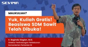 Beasiswa SDM Sawit Telah Dibuka, Kesempatan Kuliah Gratis Bagi Generasi Muda Beasiswa SDM Sawit