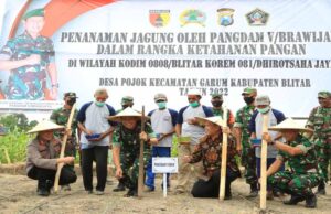 Tingkatkan Ketahanan Pangan, Kodim 0808/Blitar Bersama Pangdam V/Brawijaya Tanam Jagung Tingkatkan Ketahanan Pangan