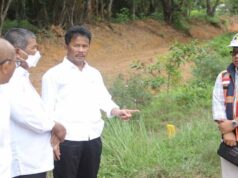 Wali Kota Batam Dorong Penghijauan Batam, Pohon Jati Emas Segera Ditanam Wali Kota Batam Tinjau Lokasi Penanaman Pohon Jati Emas