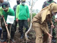 Bupati Blitar Hadiri Penanaman 10 Ribu Pohon Mangrove, Ini Bentuk Komitmen dan Dukungan Pariwisata Bupati Blitar Hadiri Penanaman 10 Ribu Pohon Mangrove