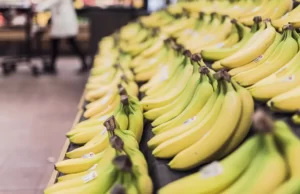 3 Pilihan Sarapan yang Bermanfaat Bagi Kesehatan Buah Pisang di jual