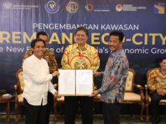 Pulau Rempang Jadi Kawasan Khusus, Kepala BP Batam Optimistis Investasi Meningkat Pulau Rempang Batam