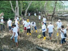PLN Batam Tanam Mangrove dan Bersih-Bersih di Desa Wisata Kampung Terih PLN Batam