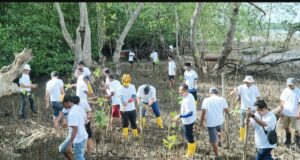 PLN Batam Tanam Mangrove dan Bersih-Bersih di Desa Wisata Kampung Terih PLN Batam