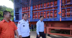 PT Ciomas Adisatwa Ekspor Perdana 359.699 Ekor Ayam Hidup ke Singapura PT Ciomas Adisatwa