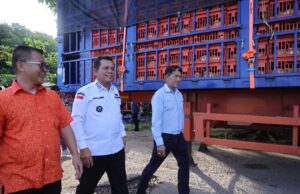 PT Ciomas Adisatwa Ekspor Perdana 359.699 Ekor Ayam Hidup ke Singapura PT Ciomas Adisatwa