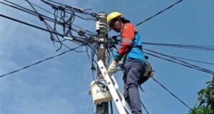 PLN Batam: Pohon Tumbang dan Layang-Layang Penyebab Listrik Padam di Piayu PLN Batam