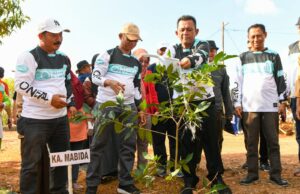 Bulan Bakti Pramuka, 750 Bibit Pohon Ditanam di Gedung Kwartir Kepri Pramuka Kepri