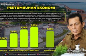 Pertumbuhan Ekonomi Kepri 2023 Tertinggi di Sumatera, Ansar: Ini Andil Kita Semua Ekonomi Kepri