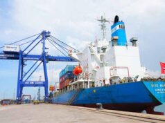 Badan Usaha Pelabuhan BP Batam Catatkan Kinerja Positif dengan Pertumbuhan Volume Kontainer 8 Persen di 2024 Kapal MV Uni Active Evergreen Line